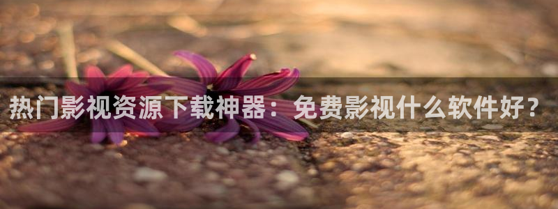 4k影院网站