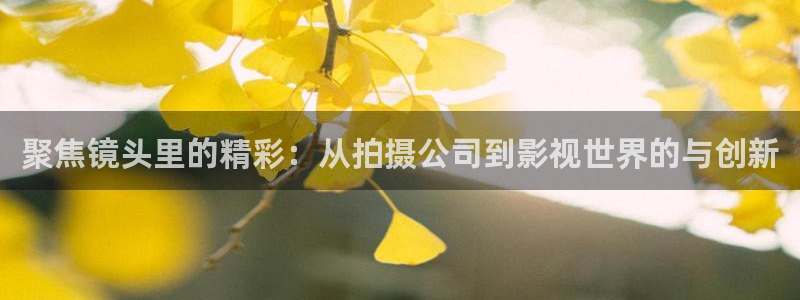 4k影院在线免费播放