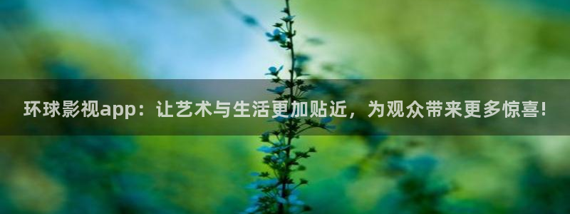 4k影院导航