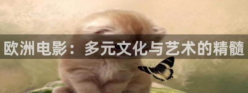 江南4k影城