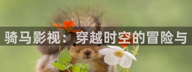 4k影视