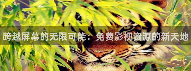 4k影视在线影院