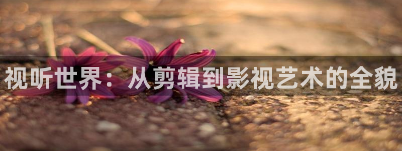 4k影院手机版