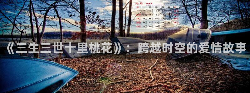4k影视官网