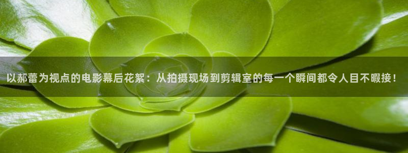 4k影视